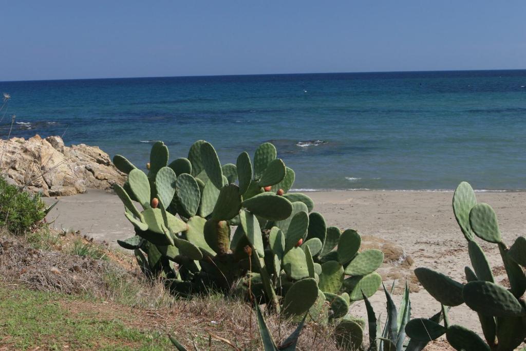Residence Il Borgo Di Porto Corallo Villaputzu Εξωτερικό φωτογραφία